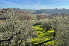 colleciocco-3